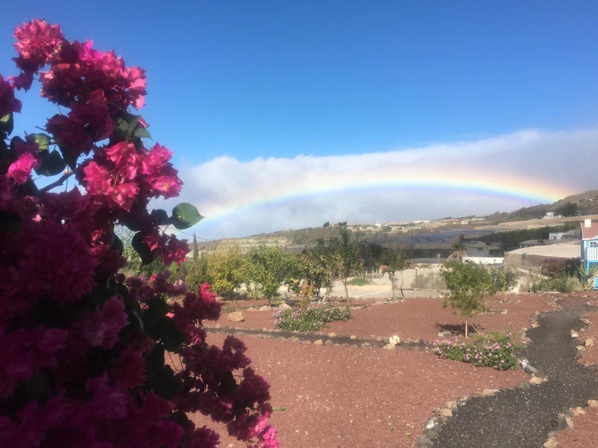 Finca Arcoiris Tenerife Vv Guía de Isora Extérieur photo